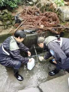 組建應(yīng)急分隊(duì)，筑牢汛期飲水安全防線